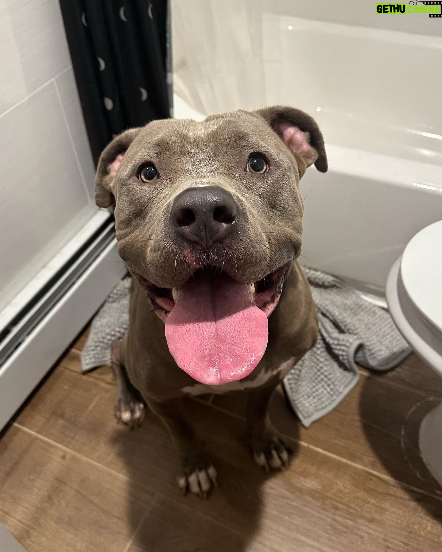 Bailey Bass Instagram - Doggos and views and Disney and fun and smiles and chill🤍🤍🤍