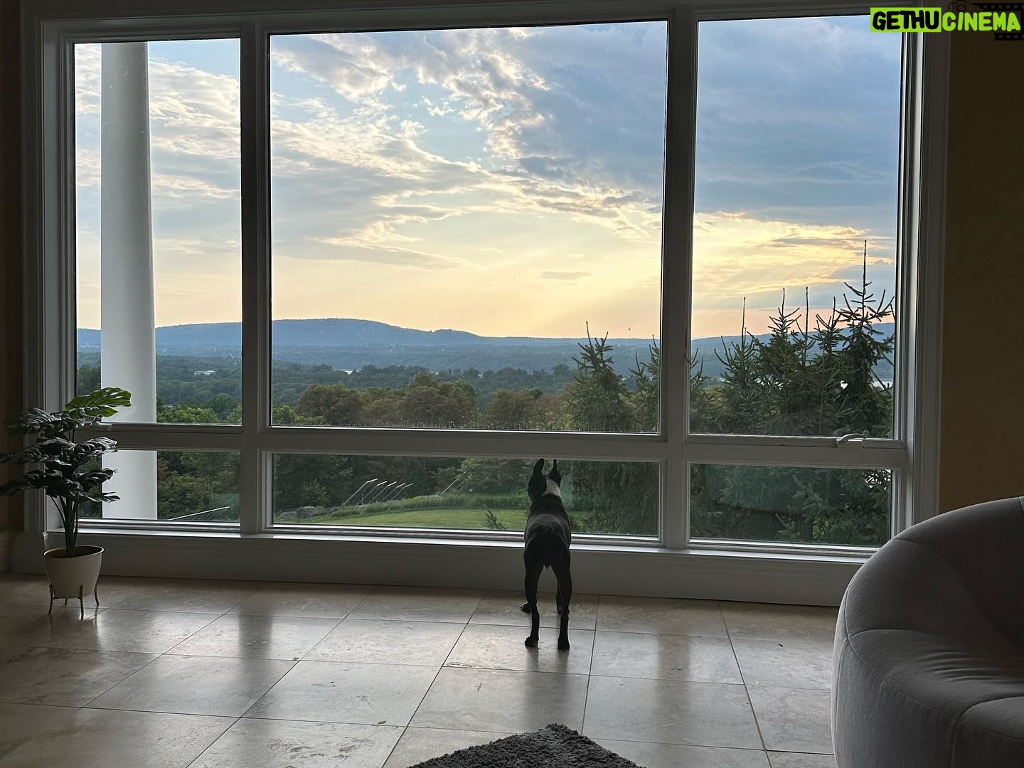 Bailey Bass Instagram - Doggos and views and Disney and fun and smiles and chill🤍🤍🤍