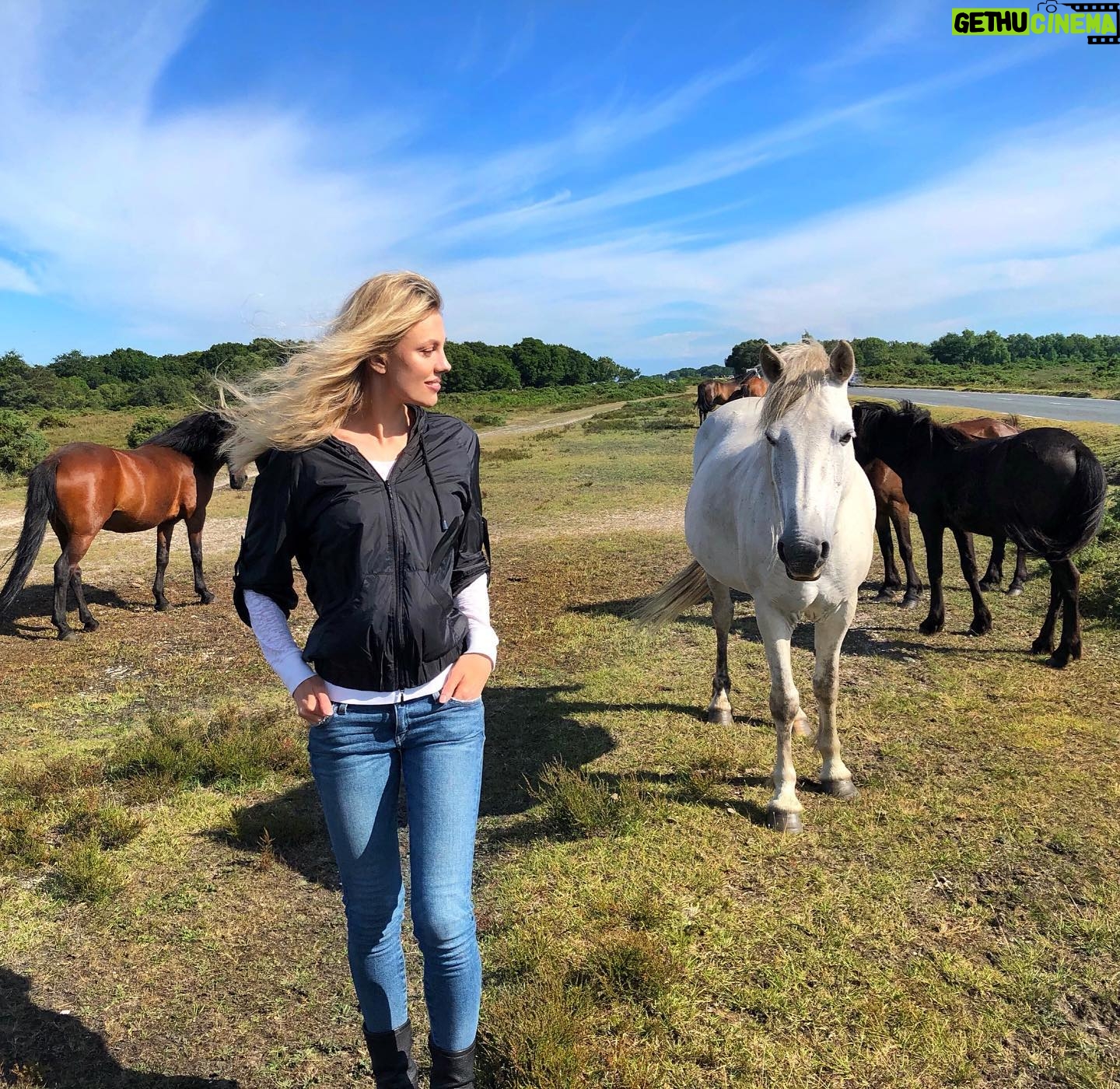 Bar Paly - 6.9K Likes - #Wild, wild horses
Couldn't drag me away 🎶 🐎
(Well, they could, cause there’s a lot of them, and only one of me & you know, they ARE #horses. They just chose not to, cause they are cool like that 😏)