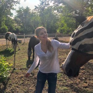 Bar Paly Instagram - Apparently, horses have sunglasses too 🐎 🕶 ☀️ Who knew?!