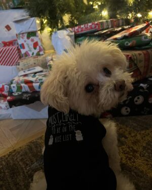 Barbara Alyn Woods Instagram - Merriest CHRISTMAS!!!! 🎄❤️🎄
Thank you @ms._.cable @xshelbjo_ for the incredible stay