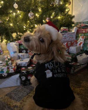 Barbara Alyn Woods Instagram - Merriest CHRISTMAS!!!! 🎄❤️🎄
Thank you @ms._.cable @xshelbjo_ for the incredible stay