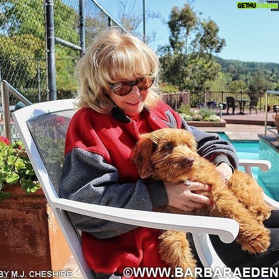 Barbara Eden - 7K Likes - Here he is! The new addition to our family! Bentley! We've had him since the beginning of the month. Since everyone needs cheering up, this lil fella is perfect for the job! He's a darling little boy who keeps us all moving and active, Rascal that he is! There will be many more pics of him to come!! -B #labradoodle #puppy #happy #sweet #joy #love #instadog #instapuppy