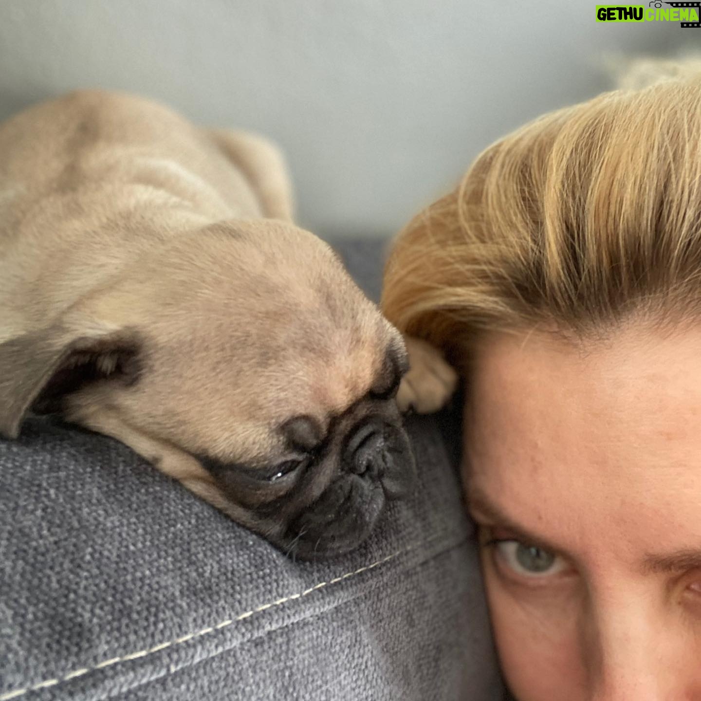 Bárbara Muschietti - 6.6K Likes - Happy #nationaldogday to all dog lovers. Thank you baby Chancho for every day and night spent with you. Thank you #arthurphillips for putting Chanch in my hands and heart.