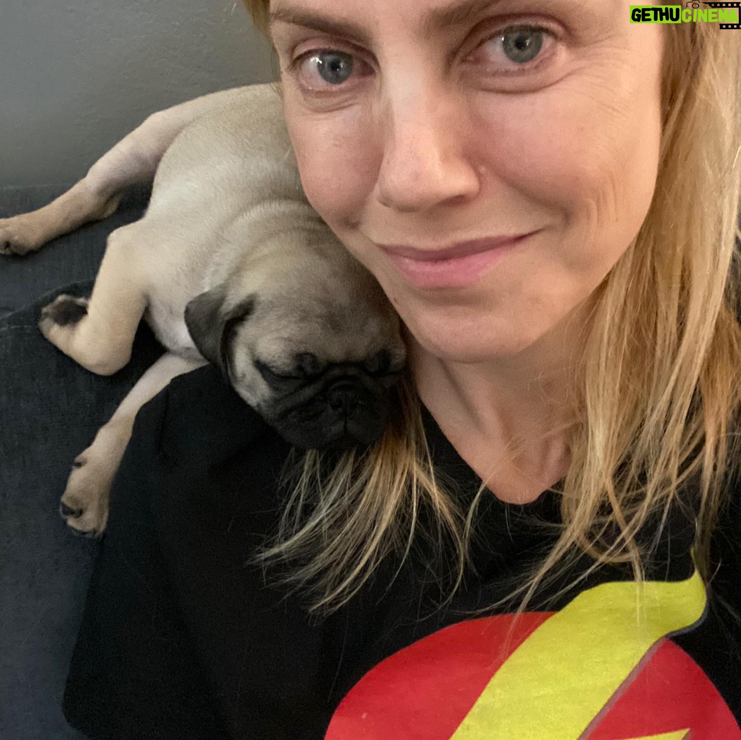Bárbara Muschietti - 6.6K Likes - Happy #nationaldogday to all dog lovers. Thank you baby Chancho for every day and night spent with you. Thank you #arthurphillips for putting Chanch in my hands and heart.