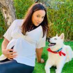 Barbara Lune Instagram – 7 mois ma Peach aujourd’hui ! Ses yeux de l’amour la 😍 … C’était deux minutes avant qu’elle me morde, je crois qu’elle veut me voler mon fils 🤣 #36sa #34weekspregnant #husky #huskysiberian #momtobe #puppyhusky #peach #souslesoleilexactement