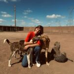 Barbara Opsomer Instagram - Une journée émouvante passée au @ranchbeldisterilisation ✨ une association dévouée qui prend soin des animaux maltraités et handicapés. Ils les stérilisent, les nourrissent et leur offrent tout l’amour dont ils ont besoin. Chaque visite dans un tel endroit me remplit d’admiration. Un grand merci à Laurence pour son engagement inlassable. C’est réconfortant de savoir qu’il existe encore de si belles âmes. 🐾❤️ #RespectAnimal