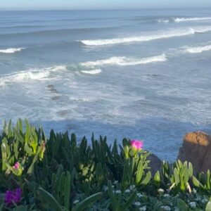 Barbora Černá Instagram - January 🤍🌞 sunny days & giant swells