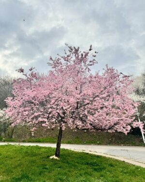 Barbora Jánová Instagram - Spring vibesssss 🌸🌻🌷