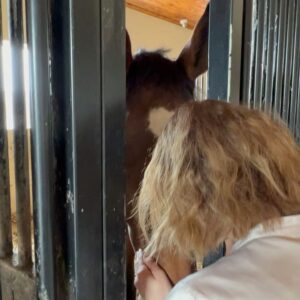 Barbora Jánová Instagram - Díky za super den 🚋🗺️🐎
Mám tě ráda @maattyhosek @maappi_official 🤍
