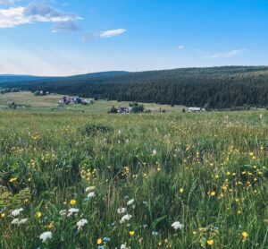 Barbora Mudrová Instagram - Moc děkujeme @travelking.cz za úžasných pár dní v osadě Jizerka. Byla to taková krása!😊

Přijeli jsme docela unavení, Kristiánkovi už třetí týden rostly zuby a já doufala, že si i tak dokážeme odpočinout. A povedlo se. 🤍 
Velkou zásluhu na tom měl servis a celkový přístup všech lidí v @hotel_jizerka_4. Oba jsme toho s Martinem procestovali hodně, zažili i luxusní hotely a shodli se, že největší zážitek z míst tvoří stejně nakonec lidé, se kterými jednáte a starají se o vás. Tohle místo můžu rozhodně doporučit.

Chcete zažít také pár dní klidu za dobrou cenu? Podívejte se jaká další hezká místa nabízí @travelking.cz 
Mám pro vás navíc 10% SLEVOVÝ KÓD BARBORA platný do konce června. ✨

#trip #osadajizerka #travelking #spoluprace #nature #sunset
