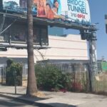 Barrett Wilbert Weed Instagram - First time seeing one of our billboards in real life! 😭 We are a sweet, optimistic, silly show about kids from the neighborhood making their dreams come true. In a crazy dark world, sometimes it’s nice to just watch someone succeed. You can do that with us on @epix @amazonprime or every Sunday at 10pm. ❤️✨🔥🎸🎤