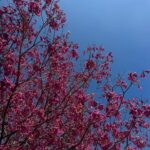 Beatrice Grannò Instagram - This and that