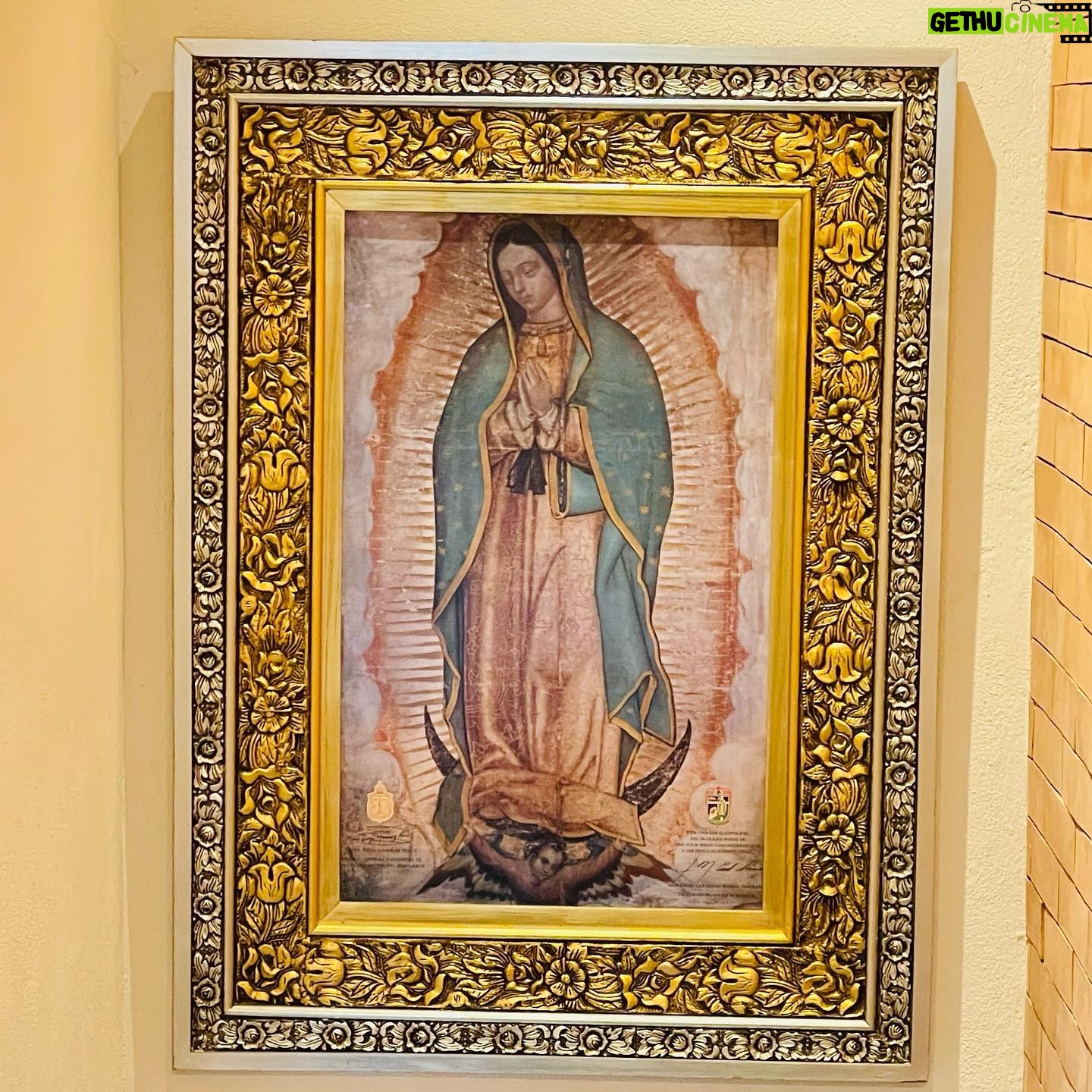 Beatriz Morayra - 3 Likes - Ella 👉🏻 🙌🏻🙏🏻♥️ Mi #Morenita #virgendeguadalupe #mivirgencita #madremia Hoy en tu cumpleaños 🙌🏻 y cómo todo los días de mi vida 🙏🏻 Te agradezco por no soltarme nunca 🙏🏻 ni a mi Familia 🙏🏻 ni a mi gente amada 🙏🏻 Gracias por siempre cubrirme con tu manto madre mía ♥️#Gracias 🙏🏻#Gracias 🙏🏻 #Gracias #siempre #siempreconmigo #🙏🏻 #Amen 🙏🏻 #BeatrizMorayra 🙏🏻♥️🇲🇽