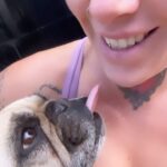 Bec Rawlings Instagram – Frenchies have zero boundaries 😅