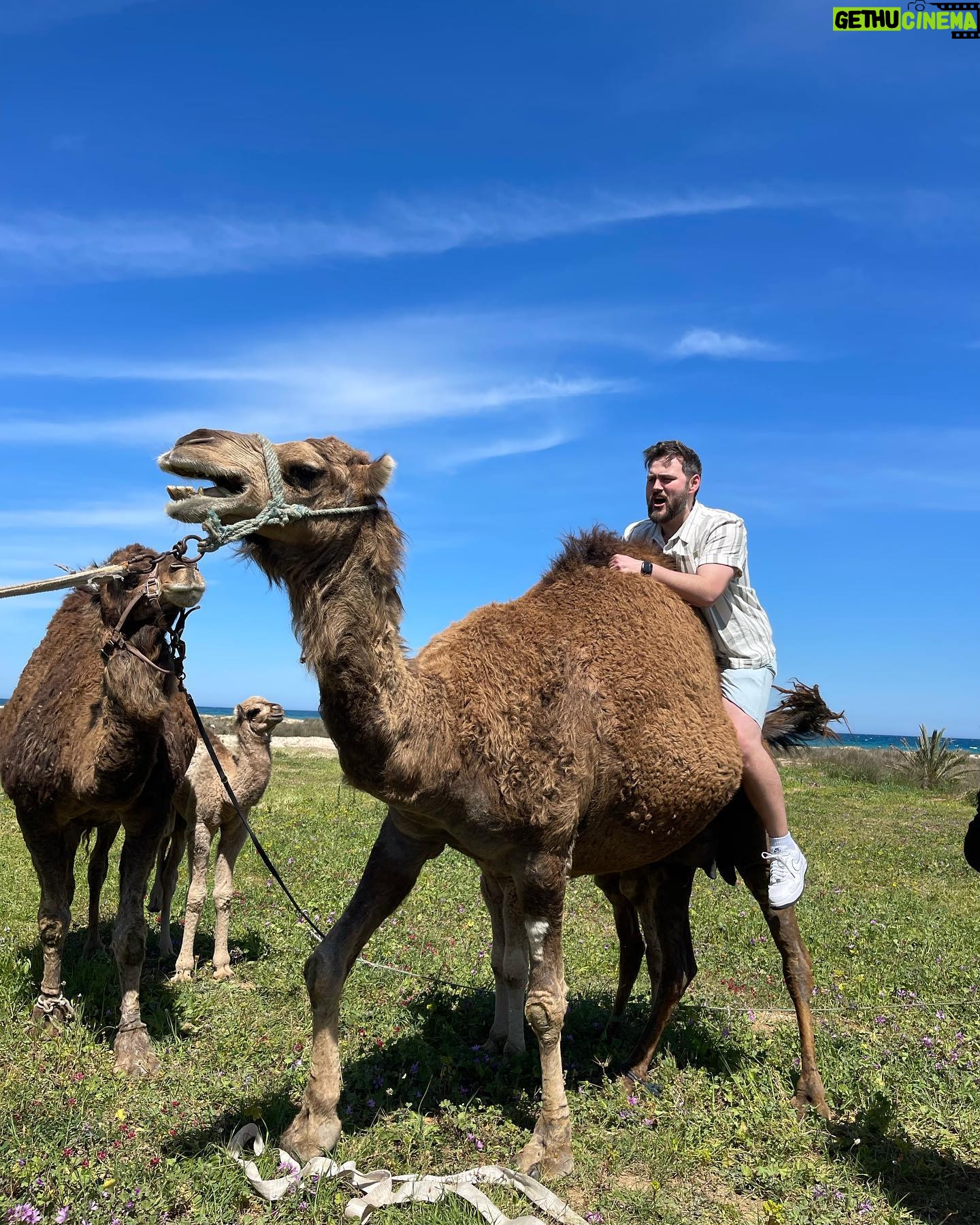 Becky James - 48.9K Likes - truly lost for words. (makes a change)
huge congrats to our russell and the entire team of absolute legends - what a mental achievement - can’t wrap my head around how any of this was possible but I’d like to believe that warm pint in senegal really pushed him to the finish xx
je suis baffled.