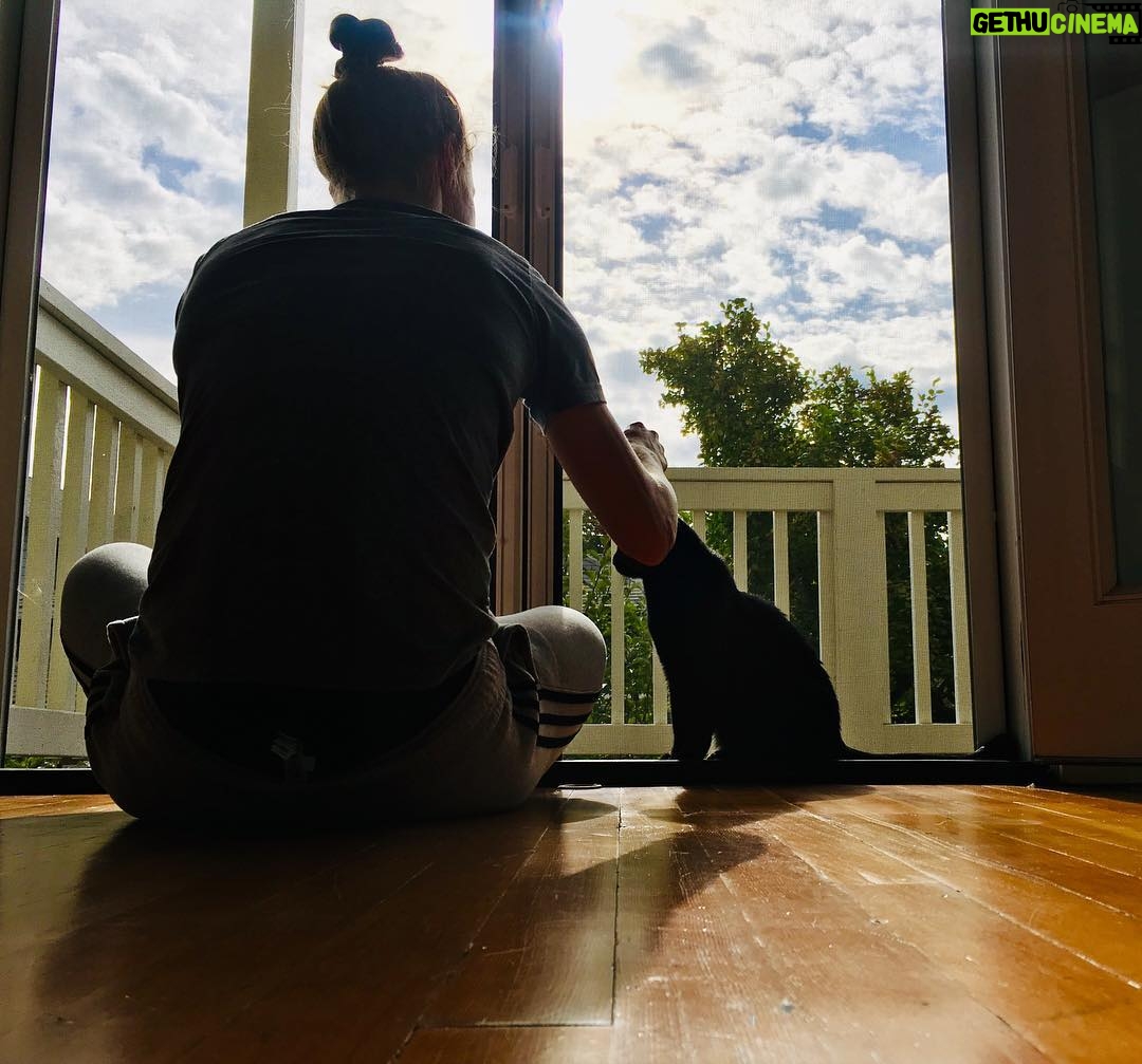 Becky Sauerbrunn Instagram - A girl and her cat. #nationalcatday