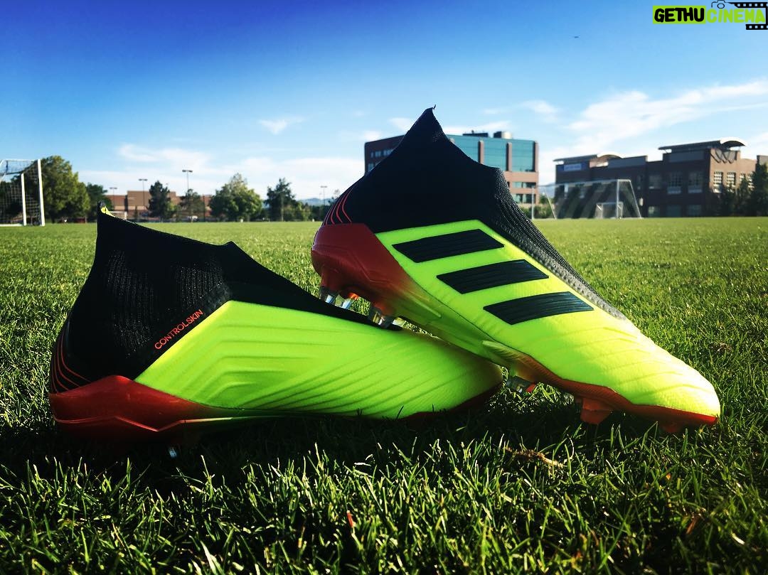 Becky Sauerbrunn Instagram - No hiding. Never afraid. #HereToCreate #PREDATOR