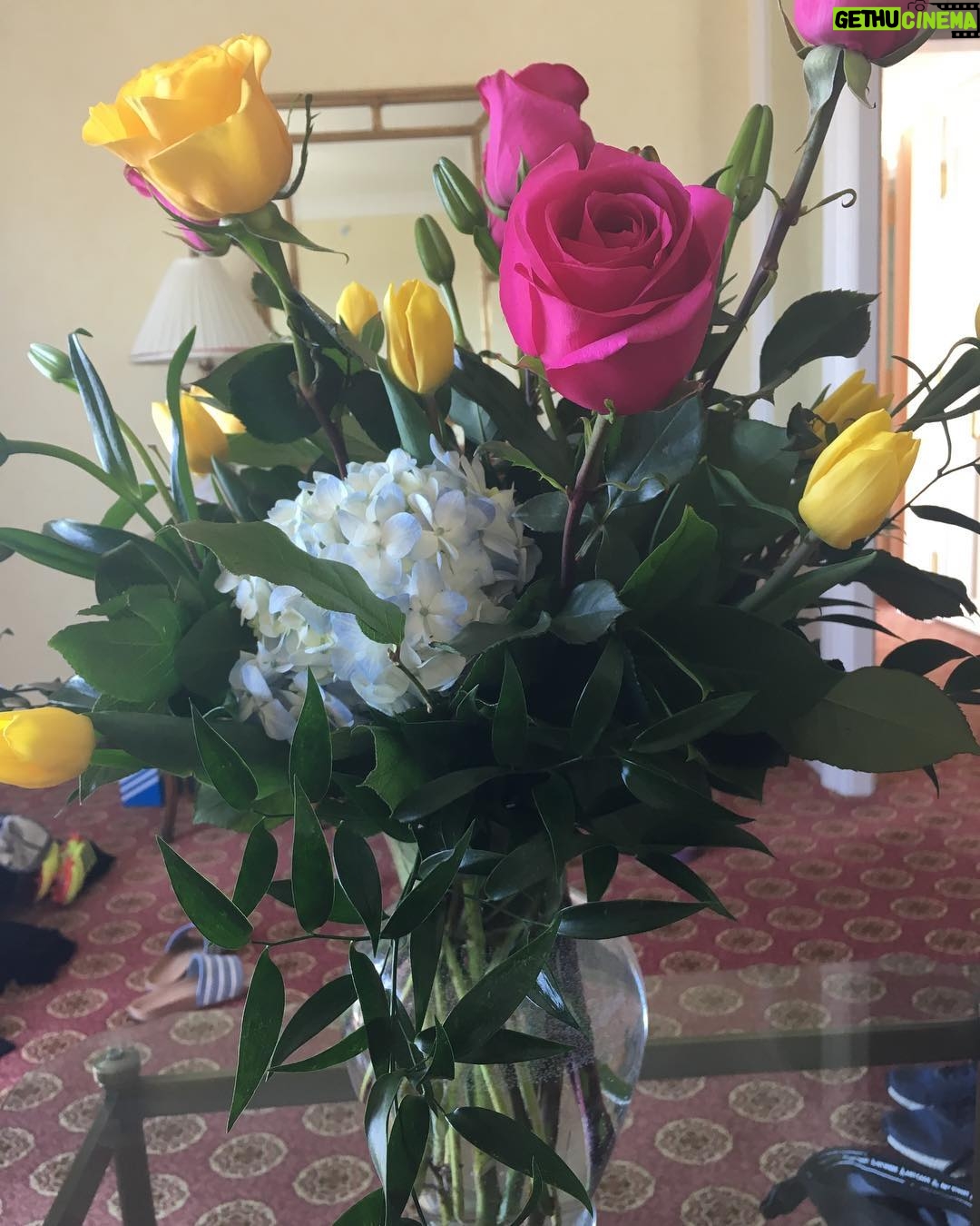 Becky Sauerbrunn Instagram - When he says my birthday present is paying for the movie and sports channels for another year (and I think that’s a perfectly lovely gift), he then has to ruin it by sending me flowers. ILYI, @zshort