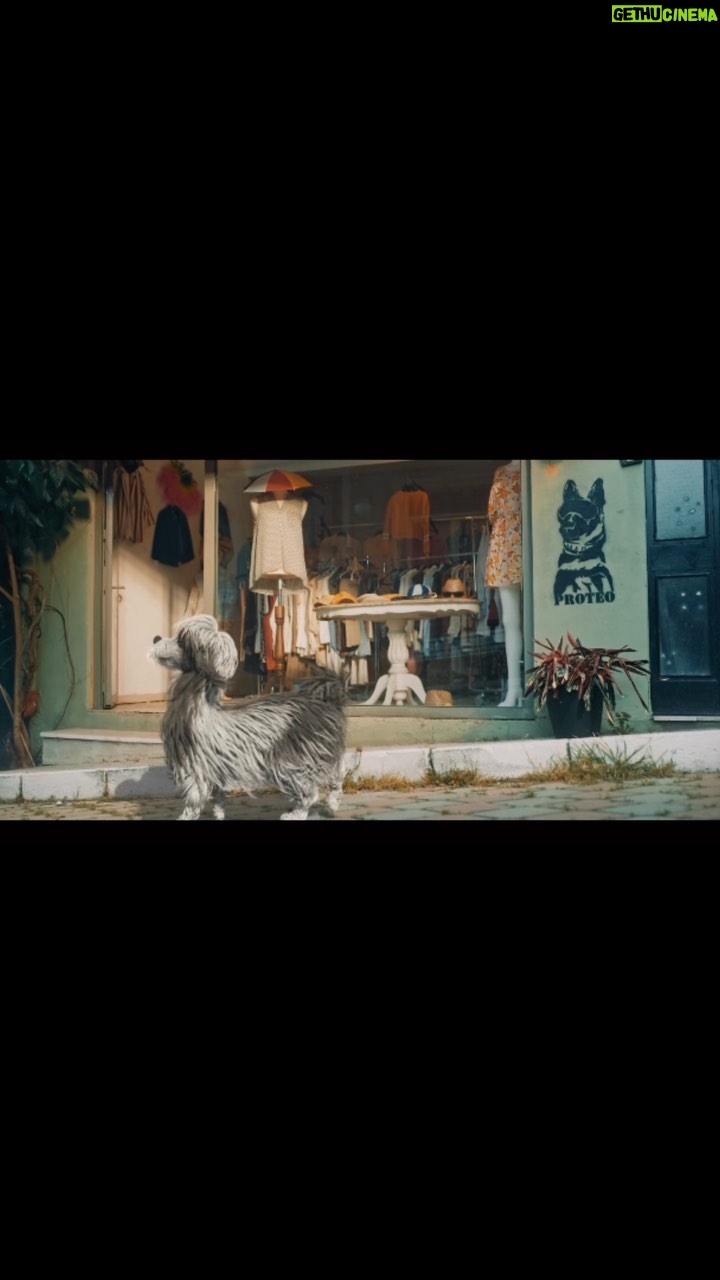 Begüm Birgören Instagram - Onları iyi insanlar olduğumuza inandırmak elimizde! Önce kalbini sonra kapılarını aç! @banagozkulakol ARAMIZA HOŞGELDİN YENİ DOSTUMUZ “BADİ” 🐾 HİKAYENİN DEVAMINI MERAKLA BEKLİYORUZ.. SENİN VE SOKAKTA, BARINAKTA YAŞAM MÜCADELESİ VEREN TÜM CAN DOSTLARIMIZIN 4 NİSAN DÜNYA SOKAK HAYVANLARI GÜNÜ KUTLU OLSUN! 🎈#beniseninandır #banagozkulakol Onları iyi insanlar olduğumuza inandırmak elimizde! Önce kalbini sonra kapılarını aç! @banagozkulakol ARAMIZA HOŞGELDİN YENİ DOSTUMUZ “BADİ” 🐾 HİKAYENİN DEVAMINI MERAKLA BEKLİYORUZ.. SENİN VE SOKAKTA, BARINAKTA YAŞAM MÜCADELESİ VEREN TÜM CAN DOSTLARIMIZIN 4 NİSAN DÜNYA SOKAK HAYVANLARI GÜNÜ KUTLU OLSUN! 🎈#beniseninandır #banagozkulakol KÜNYE : Proje : Bana Göz Kulak Ol Duyarlı Yaşam Derneği Gönüllü sanatçılar: Seslendiren: halukbilginer_official Vokal: @sertaberener Şarkı: @pinhanitakip Müzik: @barismanisa Gönüllü Oyuncular: @_burakdeniz @pelinakil @melisasenolsun @ozgeyagizz @bennu_yldrmlar @gokhanmumcu @yelizgercek1 @aslitandoga @tosyaa @ozzgeozder @sinanguleryuzofficial Proje tasarım: @ozzgeozder @aslitandogan @begümbirgören @sinanguleryuzofficial @kunterma @barismanisa Ajans: Dancefloor Agency @danceflooragency Yapım şirketi: PToT Film @ptotfilm Post Prodüksiyon: Roots Post Prodüksiyon @rootspost Yönetmen: Tuğkun Zeroğlu @tugkunzeroglu Yapımcı: Işıl Ege @isillege, Lalin Taşa @lalintasa Kreatif Direktör: Berkay Özay @berkayimben Müşteri ilişkileri: Berk Yılmaz @berk_y Post Prodüksiyon Supervizörü: Elçin Çetin @cetinelcinn 3D Süpervizörü: Taha Karar @taahaa_karar Post Prodüksiyon Asistanı: Ezgi Şenses @ezgisenses_ Görüntü Yönetmeni: Alp Korfalı @alpkorfali Yardımcı Yönetmen: Merve Ayan @merveayan Yapım Amiri: Murat Adıgüzel @muratadigzl Editör: Emre Kurt @mr.emrekurt Basın ve pr @icontalentofficial @bulentipek Makyaj ve saç: @ergungezerr 📌ANA SPONSORUMUZ @koton A TEŞEKKÜRLERİMİZLE …