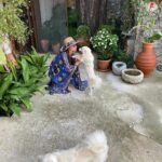 Begüm Birgören Instagram - Bana geç gelen yazı kapatıyorum.💙