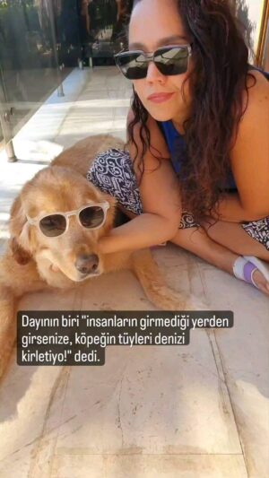 Begüm Çağla Taşkın Instagram - Dün girdik, bugün giriyoruz, yarın da gireceğiz f@*k you very much🤟🏼 #truestory ve yeri gelmişken #satınalmasahiplen
🤜🏻🤛🏻
.
.
.
.
.
.
#reels #reelsinstagram #keşfet #hayvansevgisi #dogsofinstagram #adoptdontshop #love #dogs #animalrights #natureforeveryone