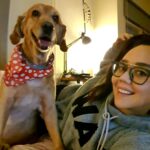 Begüm Çağla Taşkın Instagram - Gotcha! 📸 #selfiestruggles 🐾@muffin_ginger_girl