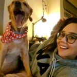 Begüm Çağla Taşkın Instagram - Gotcha! 📸 #selfiestruggles 🐾@muffin_ginger_girl