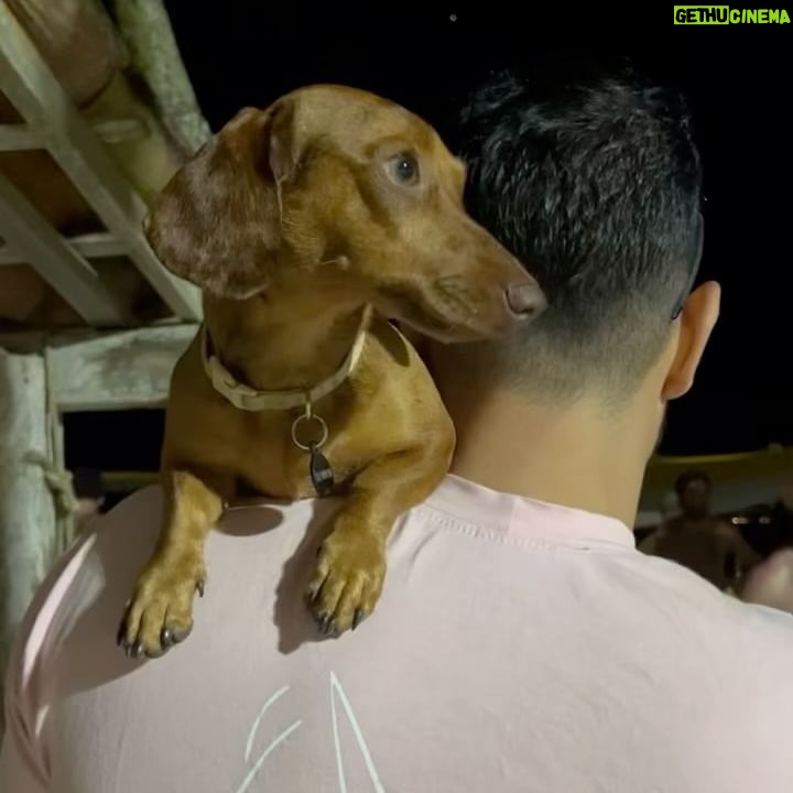 Bella Camero - 17.1K Likes - Minha primeira foto de 2024
minha primeira jogatina
minhas amigas do tubarao
diogo com barba
alto mar
diogo sem barba
soraya no rolê
gostosas
amizade
fome