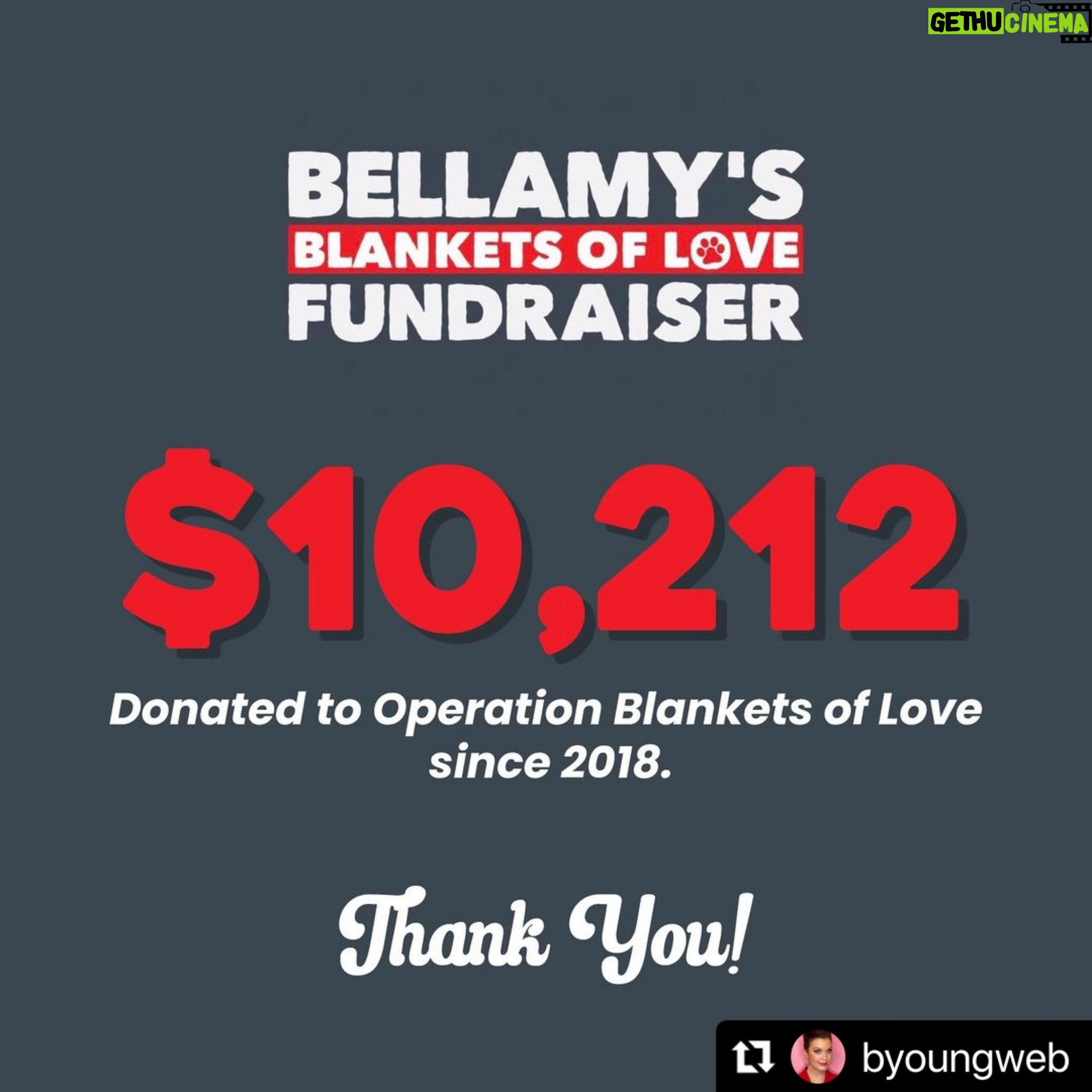 Bellamy Young Instagram - I'm so grateful to everyone who donated over the years to help wonderful @obolpaws be able to make a difference for all the animals, shelters, & rescue organizations in Southern California. 🥰 And most of all, I'm grateful to you, Anna! 🥰 Thank you for all these years of organizing with so much love & care- for bringing everyone together! I love you SO MUCH. Hope today is being gentle on everyone. Let's keep spreading the love wherever we can. ❤️💗❤️💗❤️💗❤️ ・・・ I know it's been a minute but I wanted to thank everyone for donating to Operation Blankets of Love for Bellamy's birthday since 2018. Above is the total that's been donated since the start of the fundraiser. Y'all did THAT. You've helped countless animals, and I know Eileen and Brad (and the animals) are forever thankful for your generous donations (as am I). With this said, I've decided to not continue the fundraiser for next year. I've honestly weighed this decision the last two years but wasn't sure I was ready to end it. But it feels like the time to end it is now. Please know you can still donate to OBOL on your own whenever you wish to do so. Brad and Eileen still need as much support as possible as they continue their journey to help countless animals, shelters and rescues, etc. If you're local to them, you can deliver blankets, food, toys, leashes, etc. Contact them on their social medias (@obolpaws) or through their website at www.obol.info. Thank you for joining me these last couple years in celebrating Bellamy's birthday by honoring her message of kindness and generosity and, of course, her love for animals. I appreciate everyone who took part. ❤️