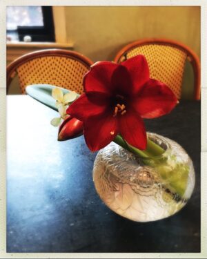 Bernadette Peters Instagram - A Flower for you on this Sunday