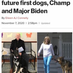 Bernadette Peters Instagram - President Elect Bidens dog Major is a Rescue Dog  Don’t forget West End Woofs 🐶starting on Monday the 9th on Broadway.com