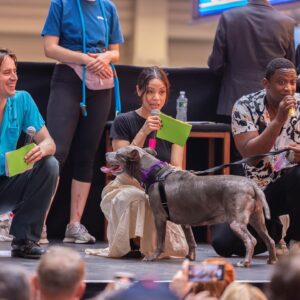 Bernadette Peters Instagram - A few of our favorite meow-ments from the 25th annual Broadway Barks! 🌟🐾 Special thanks to the shelters, Broadway casts, and volunteers who gave their time, energy, and talent to help shelter animals in need! 

(📸: @michaelhullphoto & @rickedwardsnyc)