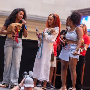 Bernadette Peters Instagram - A few of our favorite meow-ments from the 25th annual Broadway Barks! 🌟🐾 Special thanks to the shelters, Broadway casts, and volunteers who gave their time, energy, and talent to help shelter animals in need! 

(📸: @michaelhullphoto & @rickedwardsnyc)