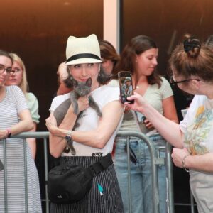 Bernadette Peters Instagram - A few of our favorite meow-ments from the 25th annual Broadway Barks! 🌟🐾 Special thanks to the shelters, Broadway casts, and volunteers who gave their time, energy, and talent to help shelter animals in need! 

(📸: @michaelhullphoto & @rickedwardsnyc)