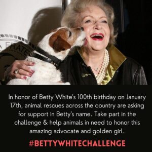 Bernadette Peters Instagram - In honor of the late, great Betty White, we ask that you participate in the #BettyWhiteChallenge by donating to @broadwaybarks. Funds raised will be distributed amongst our network of 40  animal shelters and rescue groups. 

RIP Dear Sweet Betty! Woof Woof

Link to donate is in my bio.