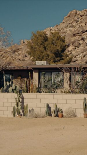 Bernadette Peters Instagram - Can’t wait for you all to see this amazing show I’m in with the fabulous @patriciaarquette. #HighDesert premiers May 17 only on @appletv!