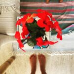 Berrak Tüzünataç Instagram – 🫶🏼