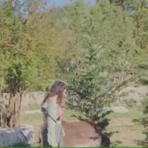 Beste Kökdemir Instagram - Elimde görüntü kalitesi bozuk ve absürt şeyler var hazırsanız . 🕺🏿