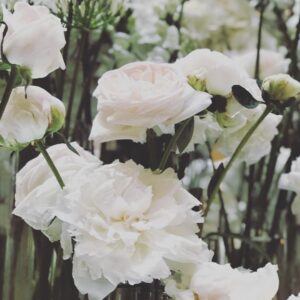 Beth Riesgraf Instagram - Happy Mother’s Day 🌹