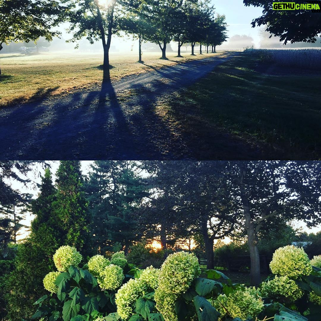 Beth Littleford Instagram - Filming in the Canadian countryside from before dawn till after dusk #DesignatedSurvivor