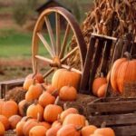 Beth Littleford Instagram – #HappyAutumn See you at the Pumpkin Patch!