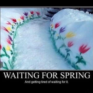 Beth Littleford Instagram - #FirstDayofSpring