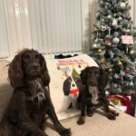 Beth Mead Instagram – 𝗠𝗲𝗿𝗿𝘆 𝗖𝗵𝗿𝗶𝘀𝘁𝗺𝗮𝘀 𝗳𝗿𝗼𝗺 𝘁𝗵𝗲 𝗠𝗲𝗮𝗱𝗲𝗺𝗮’𝘀 🎄🎅🏼❤️