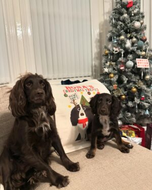 Beth Mead Instagram - 𝗠𝗲𝗿𝗿𝘆 𝗖𝗵𝗿𝗶𝘀𝘁𝗺𝗮𝘀 𝗳𝗿𝗼𝗺 𝘁𝗵𝗲 𝗠𝗲𝗮𝗱𝗲𝗺𝗮’𝘀 🎄🎅🏼❤️