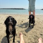 Beth Mead Instagram - The best weekend away with our little family 🐾 ☀️ ❤️