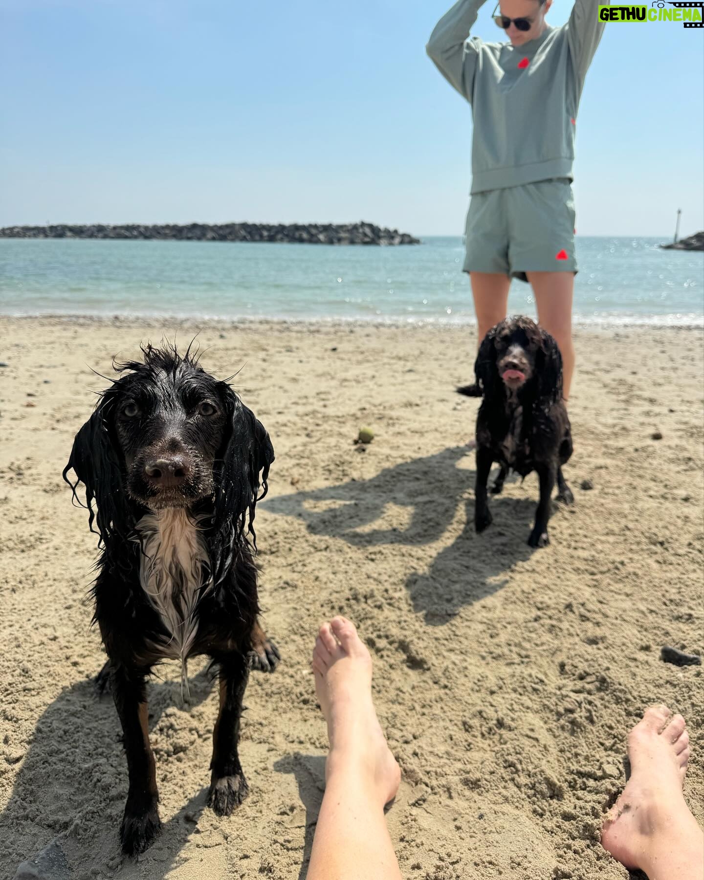 Beth Mead Instagram - The best weekend away with our little family 🐾 ☀️ ❤️