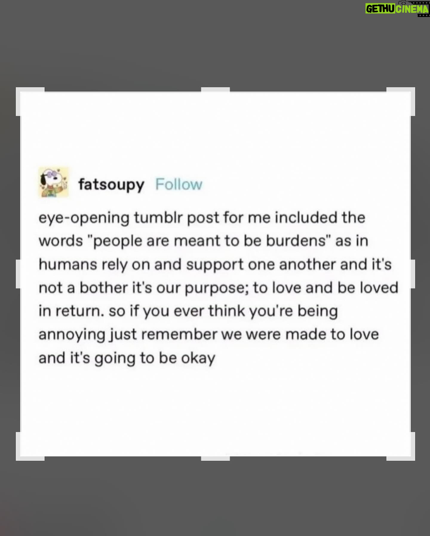 Bethany C. Meyers - 10K Likes - Excuse my heart, it’s exploding with 💓 this morning. // @nicotortorella