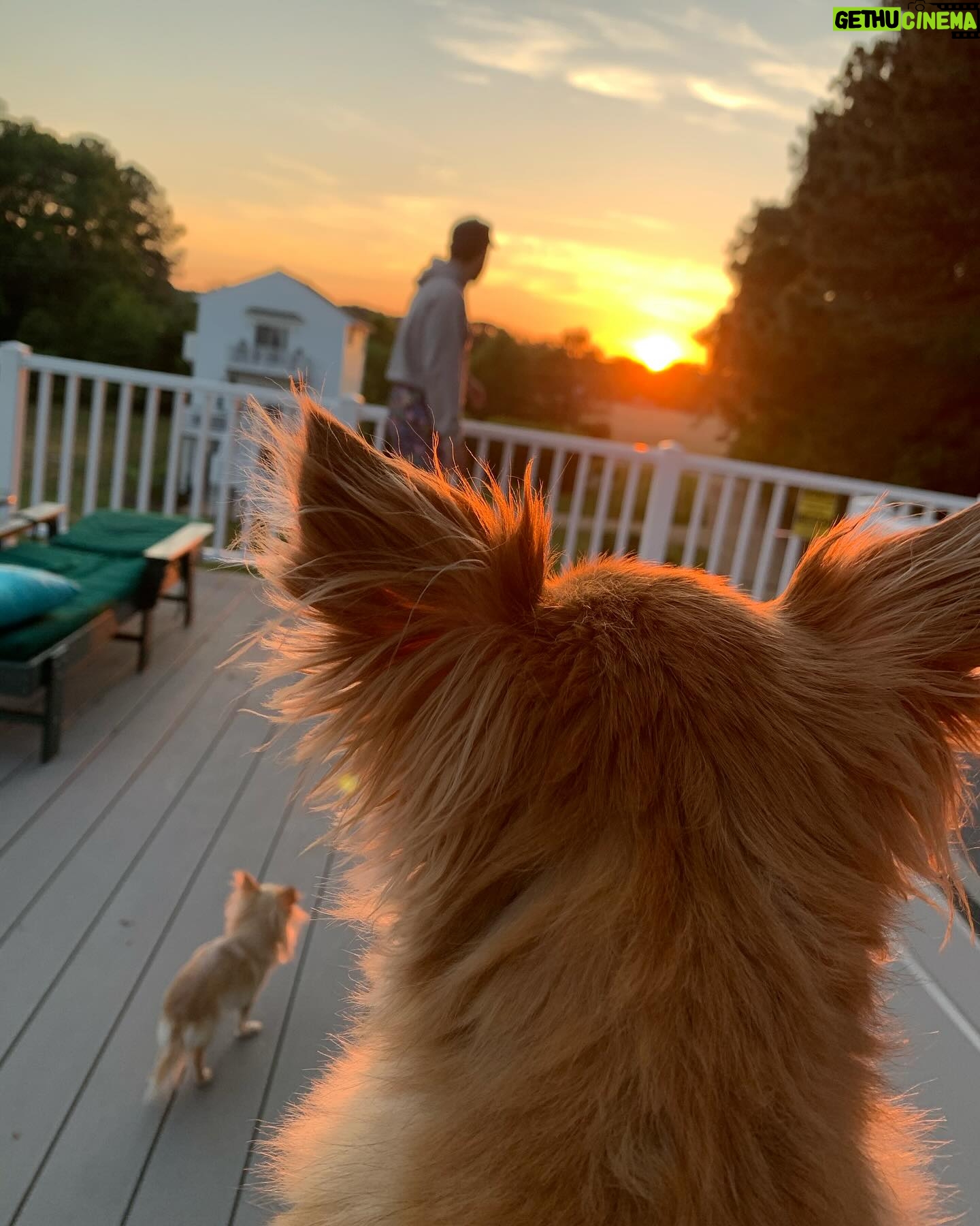 Bethany C. Meyers - 13.5K Likes - I have not wanted to write this post because I just didn’t want it to be true - my first dog, hell…my first baby - is no longer with us. Papa, you lived a beautiful, long life and brought us many laughs and cuddles. I hope you’re rolling in bear poop, howling with sirens, trotting around with perfect hair that I did NOT have to cut myself (Covid days) and living your best nature dog life with all the other fur angels. You were the cutest little rescue that ever did exist. Your presence is still felt in the house… it’s just not the same without you. Thanks for teaching Kilmer her fourth words “bad dog” 😅. We love you Poppy.