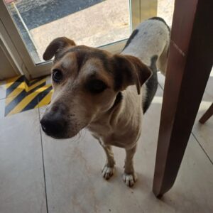 Betiana Blum Instagram - Me encontré un amigo para compartir el desayuno